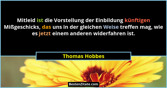 Mitleid ist die Vorstellung der Einbildung künftigen Mißgeschicks, das uns in der gleichen Weise treffen mag, wie es jetzt einem ander... - Thomas Hobbes