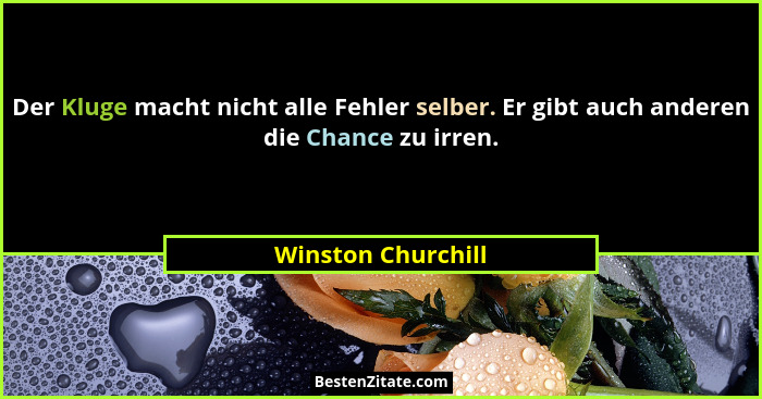 Der Kluge macht nicht alle Fehler selber. Er gibt auch anderen die Chance zu irren.... - Winston Churchill