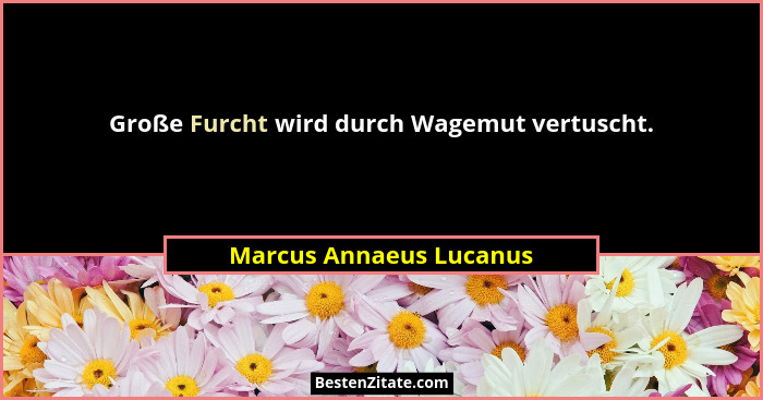 Große Furcht wird durch Wagemut vertuscht.... - Marcus Annaeus Lucanus