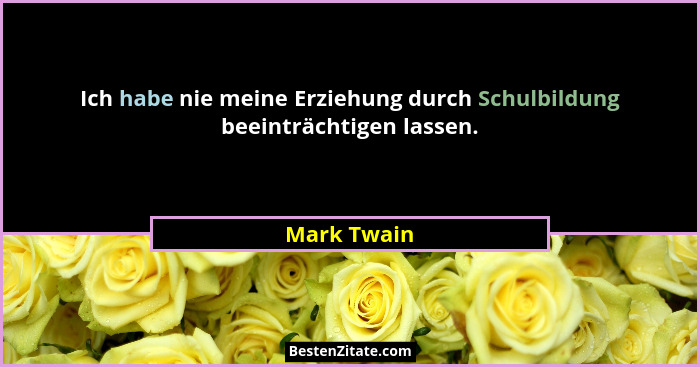Ich habe nie meine Erziehung durch Schulbildung beeinträchtigen lassen.... - Mark Twain