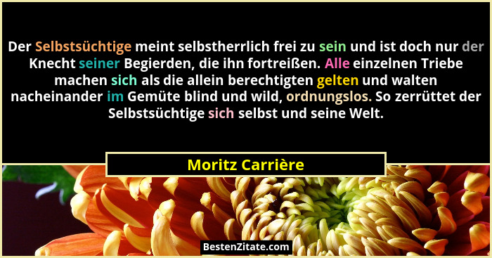 Der Selbstsüchtige meint selbstherrlich frei zu sein und ist doch nur der Knecht seiner Begierden, die ihn fortreißen. Alle einzelne... - Moritz Carrière