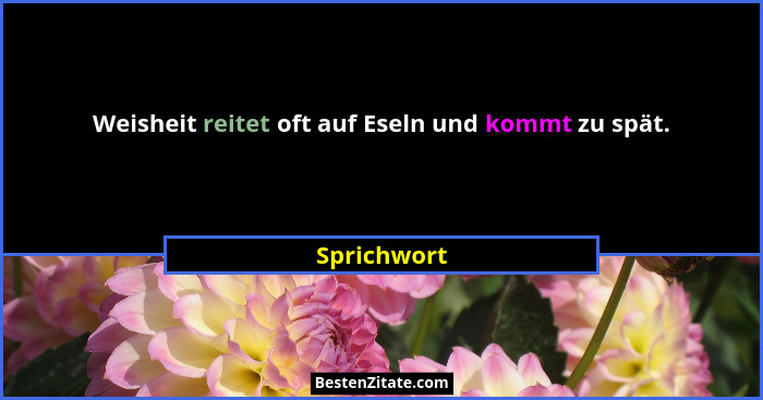 Weisheit reitet oft auf Eseln und kommt zu spät.... - Sprichwort