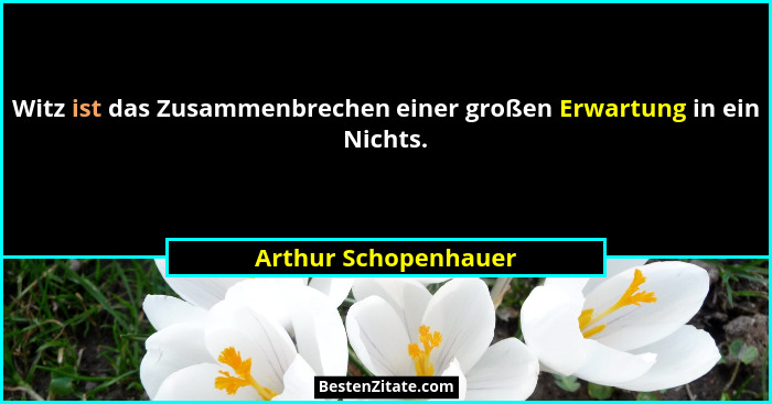 Witz ist das Zusammenbrechen einer großen Erwartung in ein Nichts.... - Arthur Schopenhauer