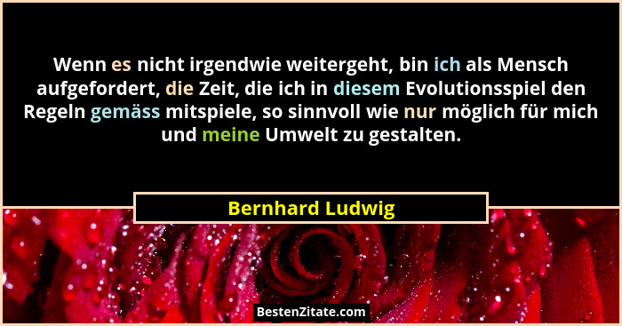 Wenn es nicht irgendwie weitergeht, bin ich als Mensch aufgefordert, die Zeit, die ich in diesem Evolutionsspiel den Regeln gemäss m... - Bernhard Ludwig