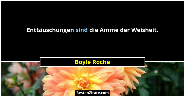 Enttäuschungen sind die Amme der Weisheit.... - Boyle Roche