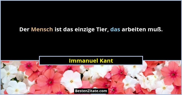 Der Mensch ist das einzige Tier, das arbeiten muß.... - Immanuel Kant