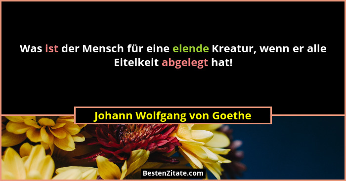 Was ist der Mensch für eine elende Kreatur, wenn er alle Eitelkeit abgelegt hat!... - Johann Wolfgang von Goethe