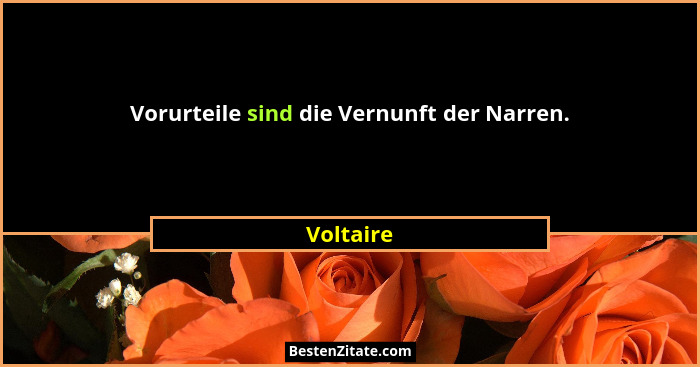 Vorurteile sind die Vernunft der Narren.... - Voltaire