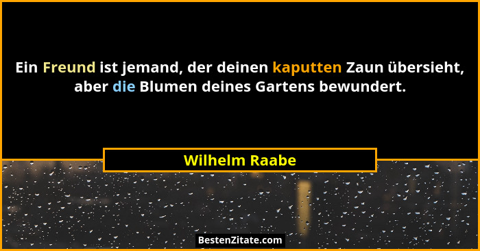 Ein Freund ist jemand, der deinen kaputten Zaun übersieht, aber die Blumen deines Gartens bewundert.... - Wilhelm Raabe