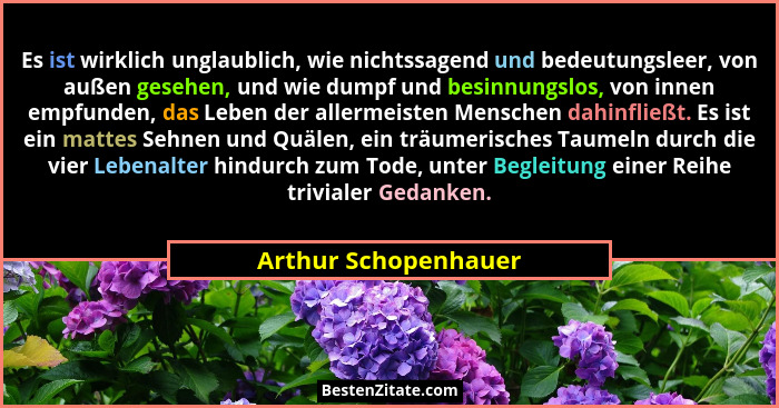 Es ist wirklich unglaublich, wie nichtssagend und bedeutungsleer, von außen gesehen, und wie dumpf und besinnungslos, von innen... - Arthur Schopenhauer