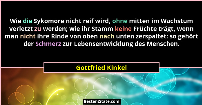 Wie die Sykomore nicht reif wird, ohne mitten im Wachstum verletzt zu werden; wie ihr Stamm keine Früchte trägt, wenn man nicht ihr... - Gottfried Kinkel