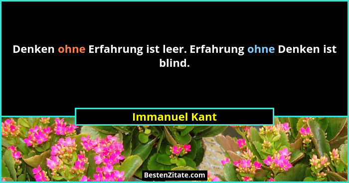 Denken ohne Erfahrung ist leer. Erfahrung ohne Denken ist blind.... - Immanuel Kant
