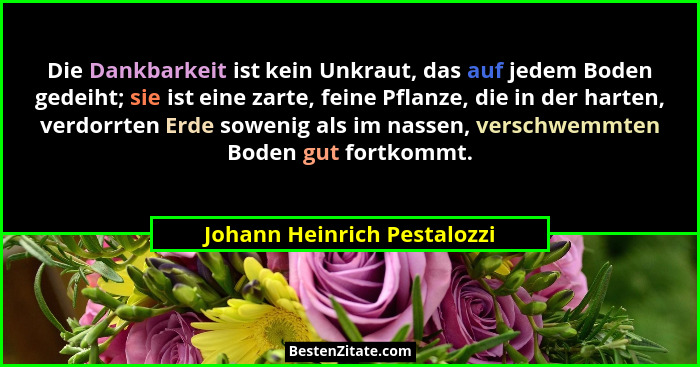 Die Dankbarkeit ist kein Unkraut, das auf jedem Boden gedeiht; sie ist eine zarte, feine Pflanze, die in der harten, verd... - Johann Heinrich Pestalozzi