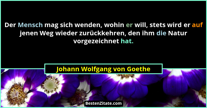 Der Mensch mag sich wenden, wohin er will, stets wird er auf jenen Weg wieder zurückkehren, den ihm die Natur vorgezeichn... - Johann Wolfgang von Goethe