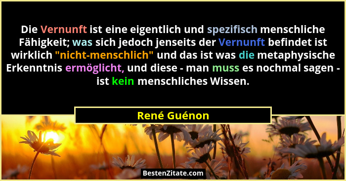 Die Vernunft ist eine eigentlich und spezifisch menschliche Fähigkeit; was sich jedoch jenseits der Vernunft befindet ist wirklich "... - René Guénon