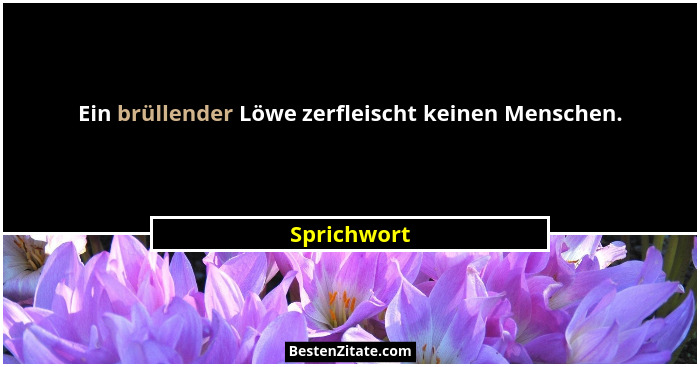 Ein brüllender Löwe zerfleischt keinen Menschen.... - Sprichwort