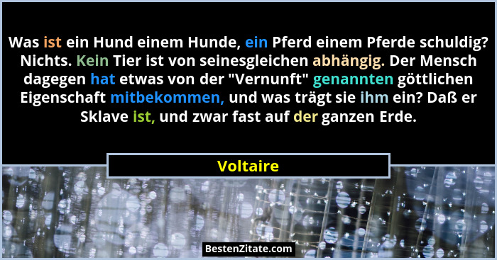 Was ist ein Hund einem Hunde, ein Pferd einem Pferde schuldig? Nichts. Kein Tier ist von seinesgleichen abhängig. Der Mensch dagegen hat et... - Voltaire