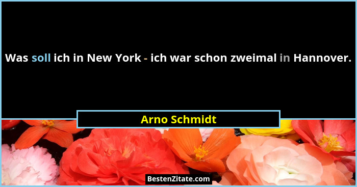 Was soll ich in New York - ich war schon zweimal in Hannover.... - Arno Schmidt