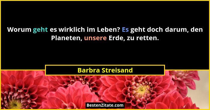 Worum geht es wirklich im Leben? Es geht doch darum, den Planeten, unsere Erde, zu retten.... - Barbra Streisand