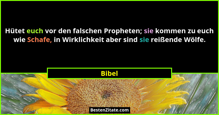 Hütet euch vor den falschen Propheten; sie kommen zu euch wie Schafe, in Wirklichkeit aber sind sie reißende Wölfe.... - Bibel