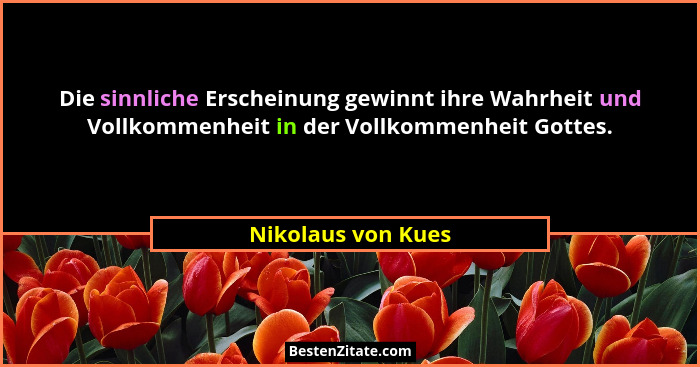 Die sinnliche Erscheinung gewinnt ihre Wahrheit und Vollkommenheit in der Vollkommenheit Gottes.... - Nikolaus von Kues