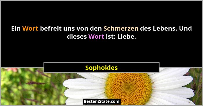 Ein Wort befreit uns von den Schmerzen des Lebens. Und dieses Wort ist: Liebe.... - Sophokles