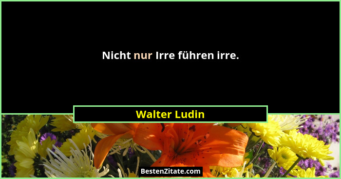 Nicht nur Irre führen irre.... - Walter Ludin