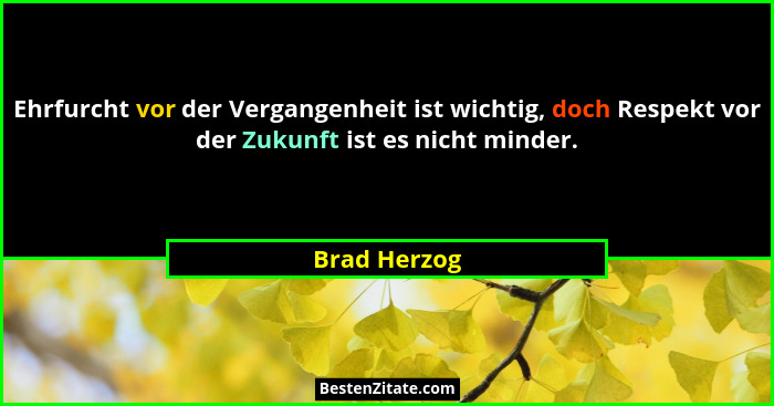 Ehrfurcht vor der Vergangenheit ist wichtig, doch Respekt vor der Zukunft ist es nicht minder.... - Brad Herzog