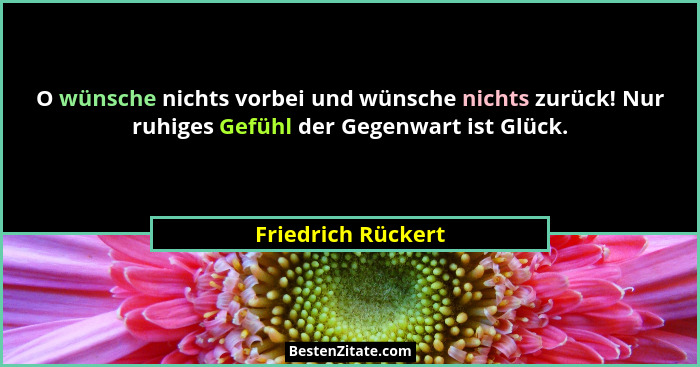 O wünsche nichts vorbei und wünsche nichts zurück! Nur ruhiges Gefühl der Gegenwart ist Glück.... - Friedrich Rückert
