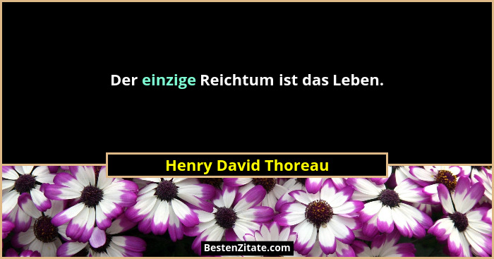 Der einzige Reichtum ist das Leben.... - Henry David Thoreau