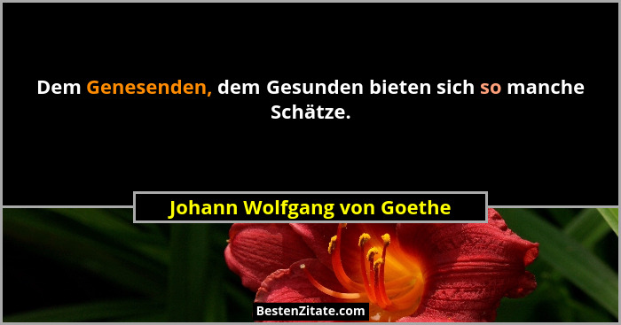 Dem Genesenden, dem Gesunden bieten sich so manche Schätze.... - Johann Wolfgang von Goethe