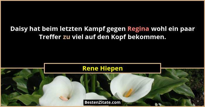 Daisy hat beim letzten Kampf gegen Regina wohl ein paar Treffer zu viel auf den Kopf bekommen.... - Rene Hiepen