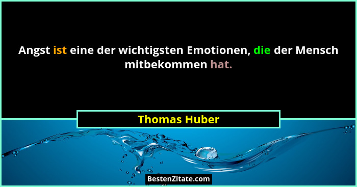 Angst ist eine der wichtigsten Emotionen, die der Mensch mitbekommen hat.... - Thomas Huber