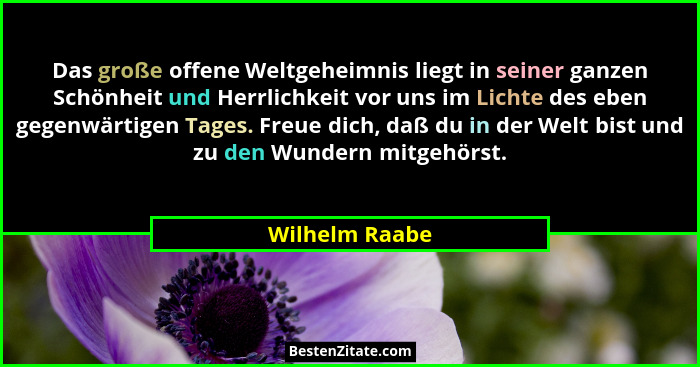 Das große offene Weltgeheimnis liegt in seiner ganzen Schönheit und Herrlichkeit vor uns im Lichte des eben gegenwärtigen Tages. Freue... - Wilhelm Raabe