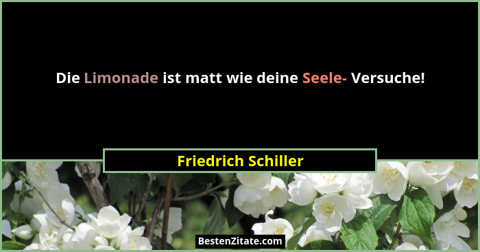 Die Limonade ist matt wie deine Seele- Versuche!... - Friedrich Schiller