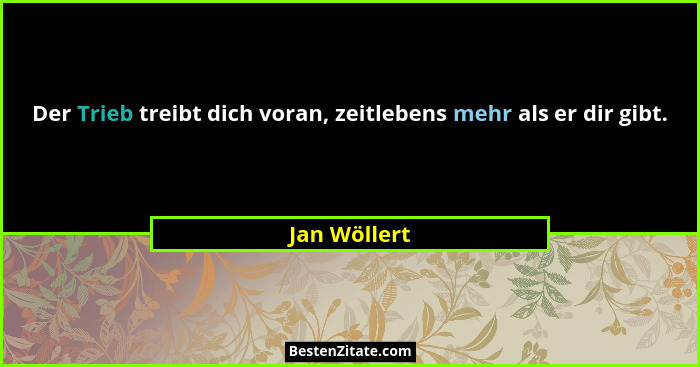 Der Trieb treibt dich voran, zeitlebens mehr als er dir gibt.... - Jan Wöllert