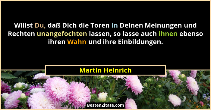 Willst Du, daß Dich die Toren in Deinen Meinungen und Rechten unangefochten lassen, so lasse auch ihnen ebenso ihren Wahn und ihre E... - Martin Heinrich