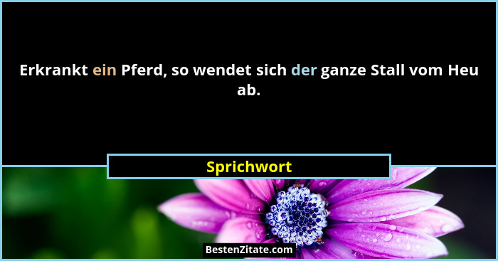Erkrankt ein Pferd, so wendet sich der ganze Stall vom Heu ab.... - Sprichwort