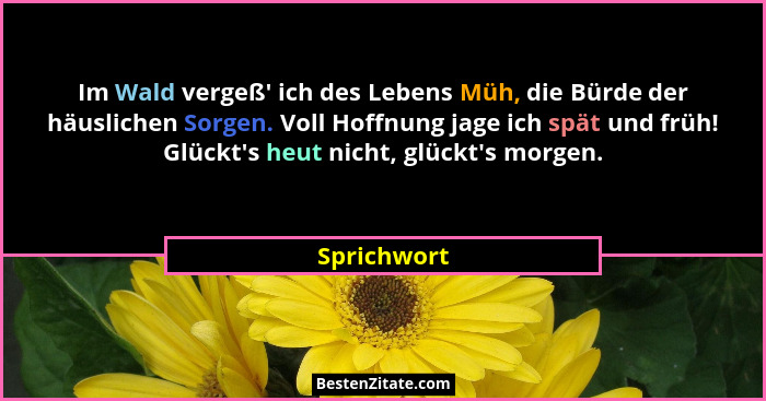 Im Wald vergeß' ich des Lebens Müh, die Bürde der häuslichen Sorgen. Voll Hoffnung jage ich spät und früh! Glückt's heut nicht, g... - Sprichwort