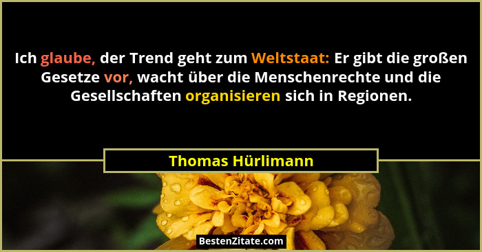 Ich glaube, der Trend geht zum Weltstaat: Er gibt die großen Gesetze vor, wacht über die Menschenrechte und die Gesellschaften orga... - Thomas Hürlimann