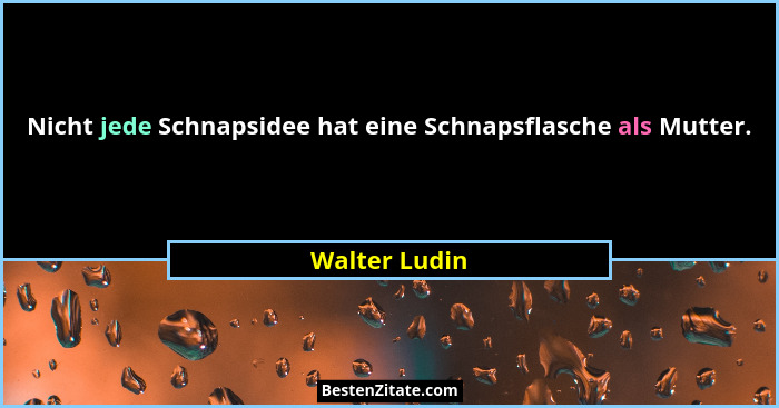 Nicht jede Schnapsidee hat eine Schnapsflasche als Mutter.... - Walter Ludin