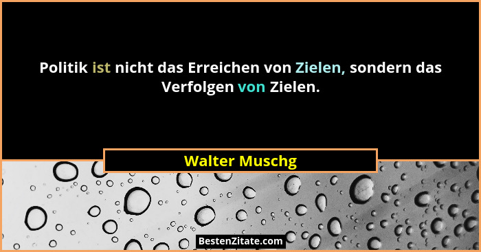 Politik ist nicht das Erreichen von Zielen, sondern das Verfolgen von Zielen.... - Walter Muschg