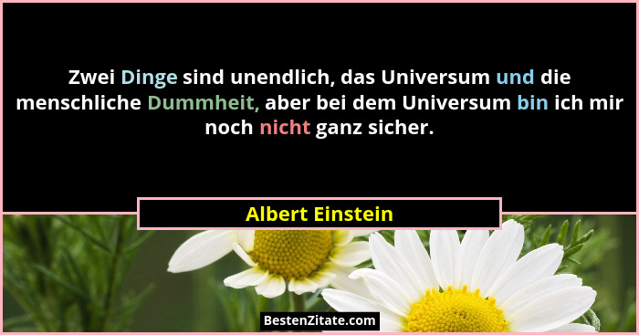 Zwei Dinge sind unendlich, das Universum und die menschliche Dummheit, aber bei dem Universum bin ich mir noch nicht ganz sicher.... - Albert Einstein