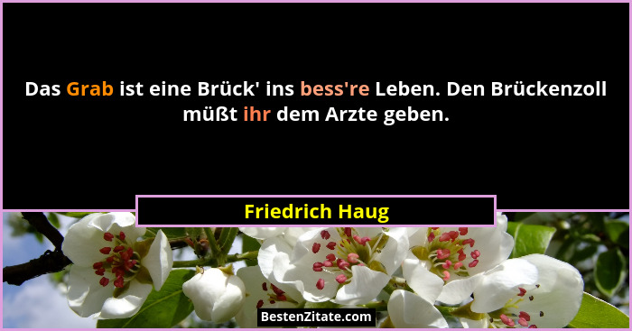 Das Grab ist eine Brück' ins bess're Leben. Den Brückenzoll müßt ihr dem Arzte geben.... - Friedrich Haug