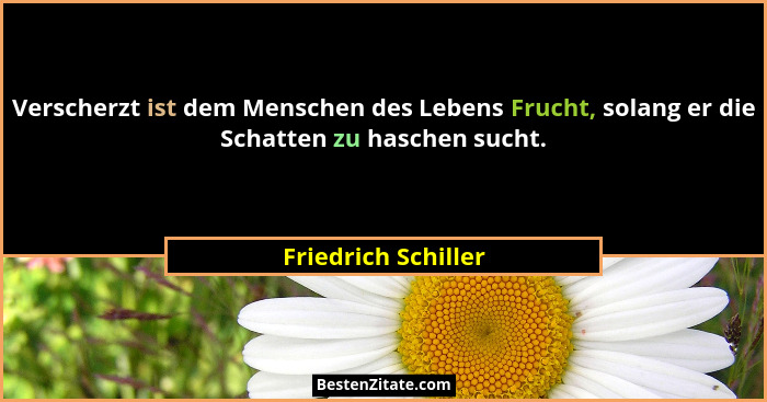 Verscherzt ist dem Menschen des Lebens Frucht, solang er die Schatten zu haschen sucht.... - Friedrich Schiller