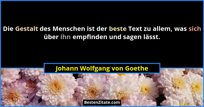 Die Gestalt des Menschen ist der beste Text zu allem, was sich über ihn empfinden und sagen lässt.... - Johann Wolfgang von Goethe