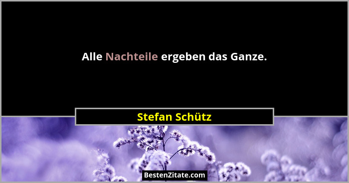 Alle Nachteile ergeben das Ganze.... - Stefan Schütz