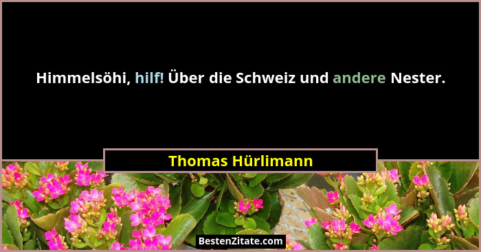 Himmelsöhi, hilf! Über die Schweiz und andere Nester.... - Thomas Hürlimann