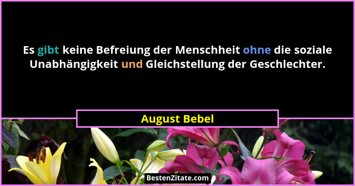 Es gibt keine Befreiung der Menschheit ohne die soziale Unabhängigkeit und Gleichstellung der Geschlechter.... - August Bebel