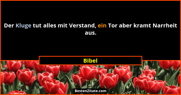 Der Kluge tut alles mit Verstand, ein Tor aber kramt Narrheit aus.... - Bibel